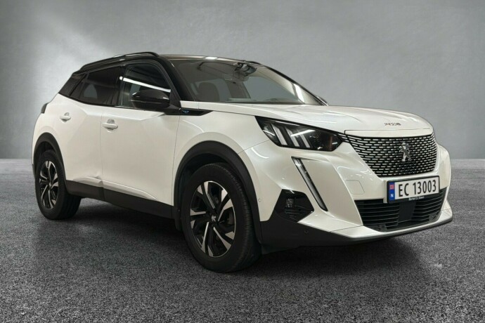 peugeot-2008-elektrisitet-2021-big-6