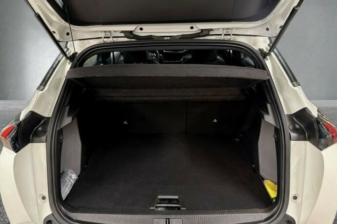 peugeot-2008-elektrisitet-2021-big-18