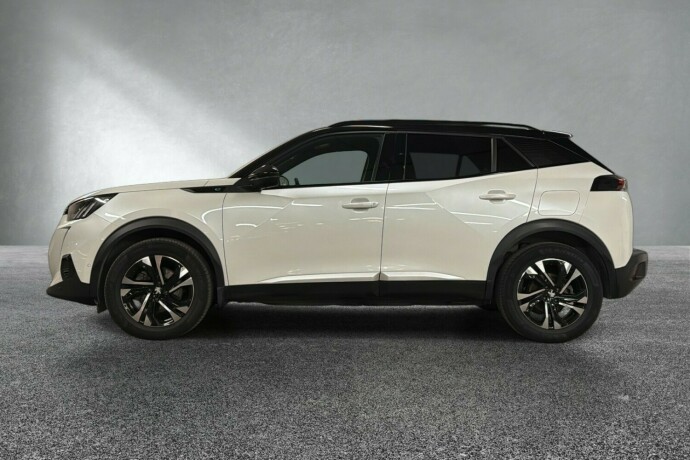 peugeot-2008-elektrisitet-2021-big-1