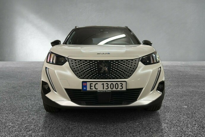 peugeot-2008-elektrisitet-2021-big-7