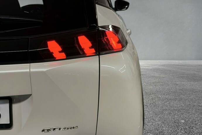 peugeot-2008-elektrisitet-2021-big-9