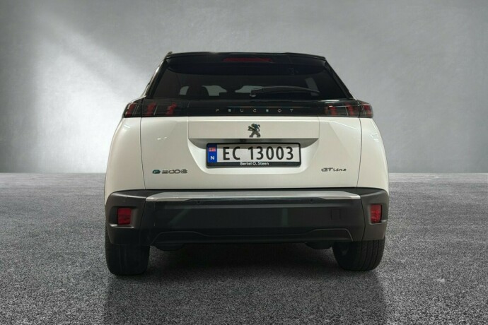peugeot-2008-elektrisitet-2021-big-3
