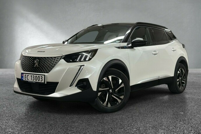 peugeot-2008-elektrisitet-2021-big-0