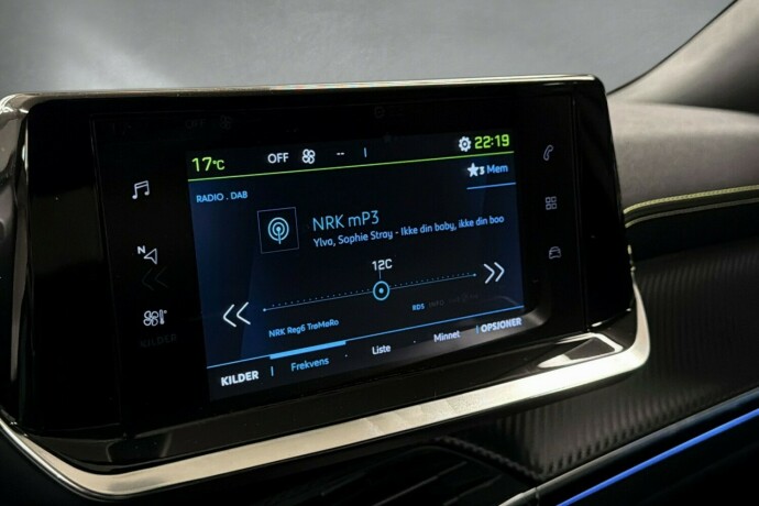 peugeot-2008-elektrisitet-2021-big-13