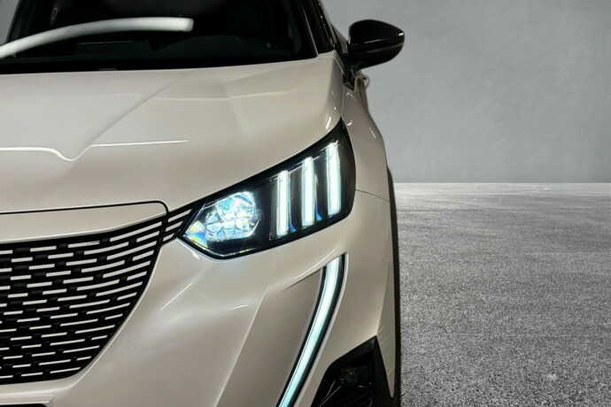 peugeot-2008-elektrisitet-2021-big-8