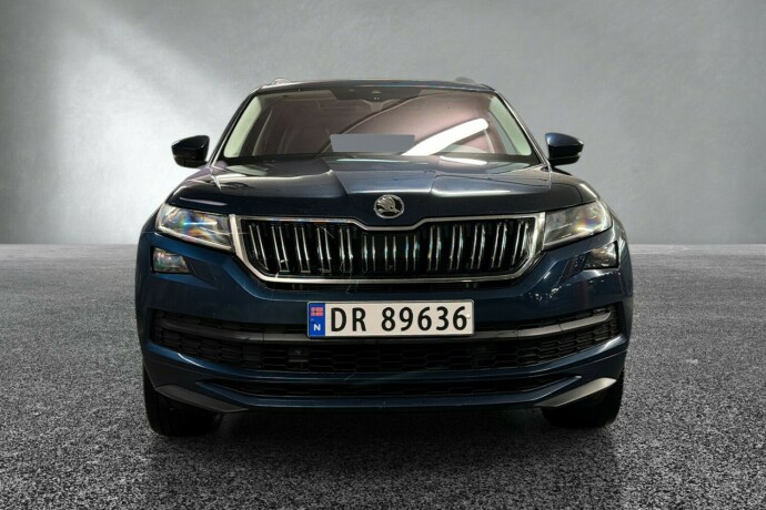 skoda-kodiaq-diesel-2021-big-7