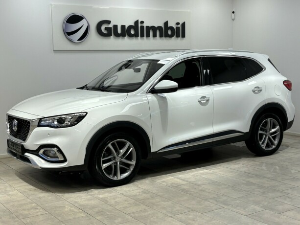 mg-ehs-elektrisitetbensin-2021-big-1