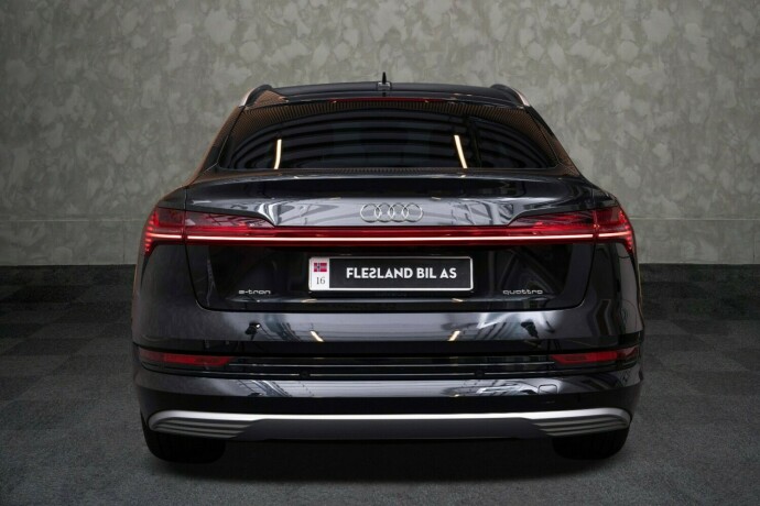 audi-e-tron-sportback-elektrisitet-2020-big-10