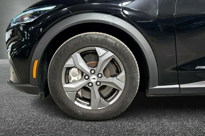 ford-mustang-mach-e-elektrisitet-2021-big-19