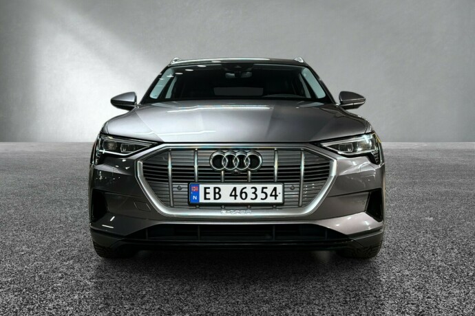 audi-e-tron-elektrisitet-2020-big-7