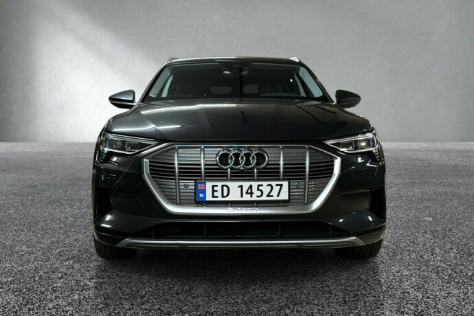 audi-e-tron-elektrisitet-2021-big-7