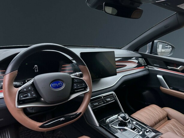 byd-tang-elektrisitet-2022-big-10