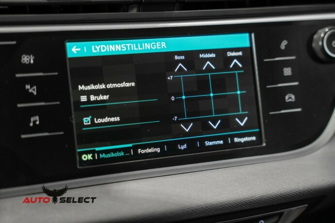 citroen-grand-c4-spacetourer-diesel-2021-big-52