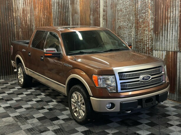 ford-f-serie-bensin-2011-big-1
