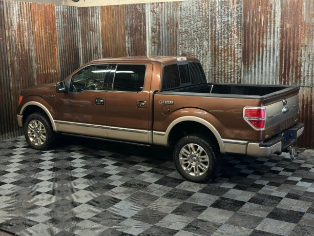 ford-f-serie-bensin-2011-big-13