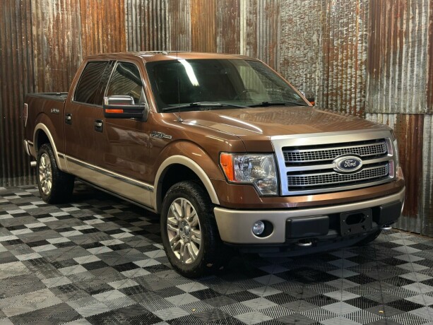 ford-f-serie-bensin-2011-big-0