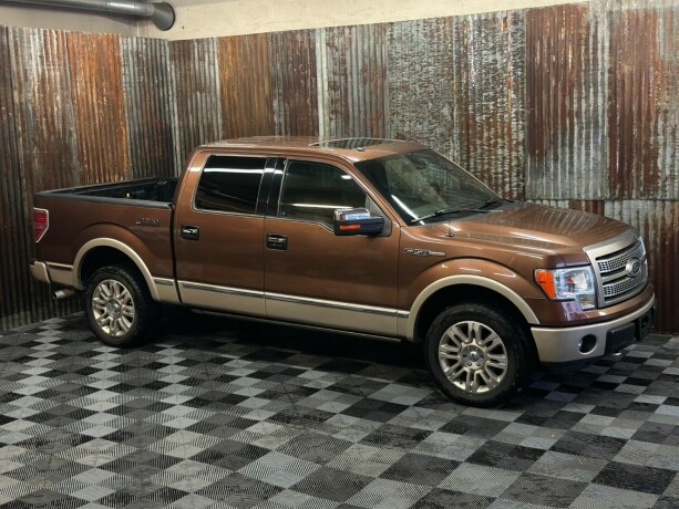 ford-f-serie-bensin-2011-big-2