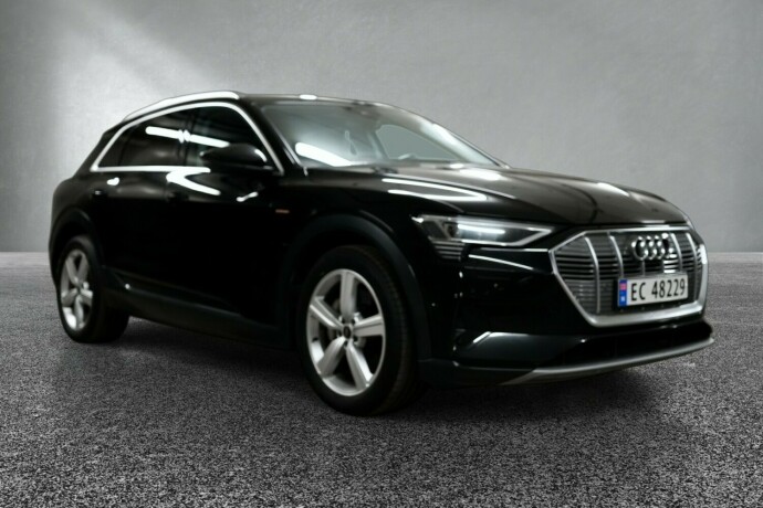 audi-e-tron-elektrisitet-2021-big-6