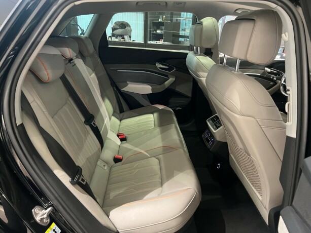 audi-e-tron-elektrisitet-2019-big-18