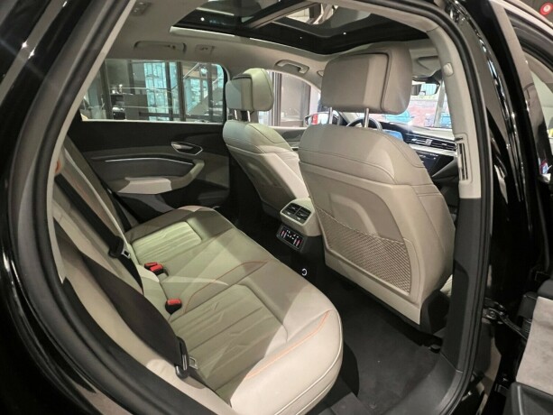 audi-e-tron-elektrisitet-2019-big-11