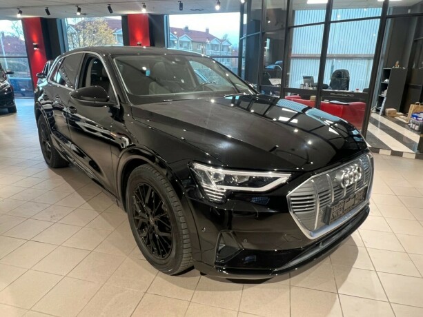 audi-e-tron-elektrisitet-2019-big-7