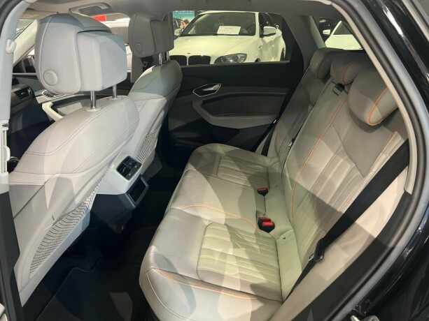 audi-e-tron-elektrisitet-2019-big-12