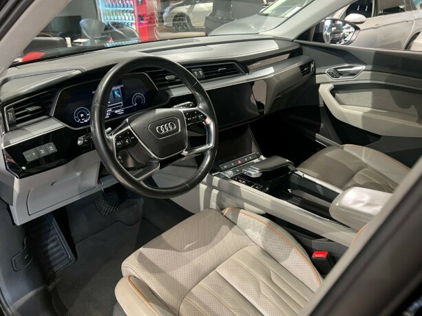 audi-e-tron-elektrisitet-2019-big-10