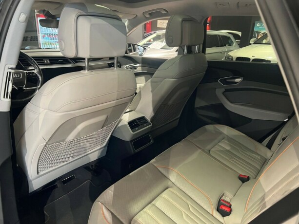 audi-e-tron-elektrisitet-2019-big-13