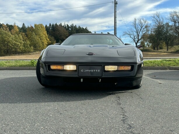chevrolet-corvette-bensin-1989-big-2
