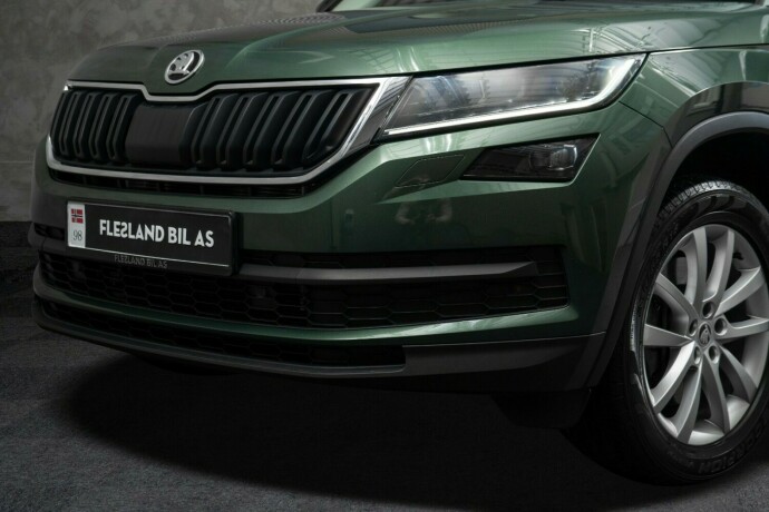 skoda-kodiaq-diesel-2019-big-2