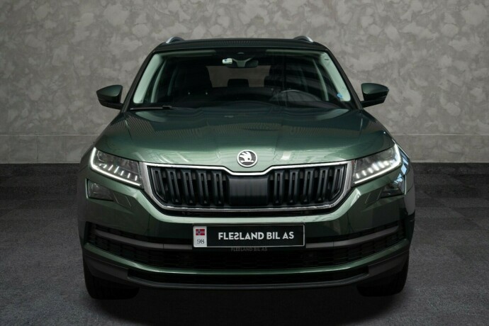 skoda-kodiaq-diesel-2019-big-6