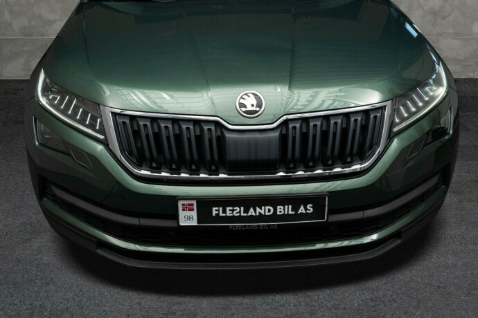 skoda-kodiaq-diesel-2019-big-4