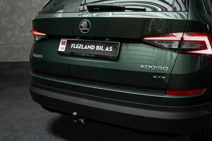 skoda-kodiaq-diesel-2019-big-7