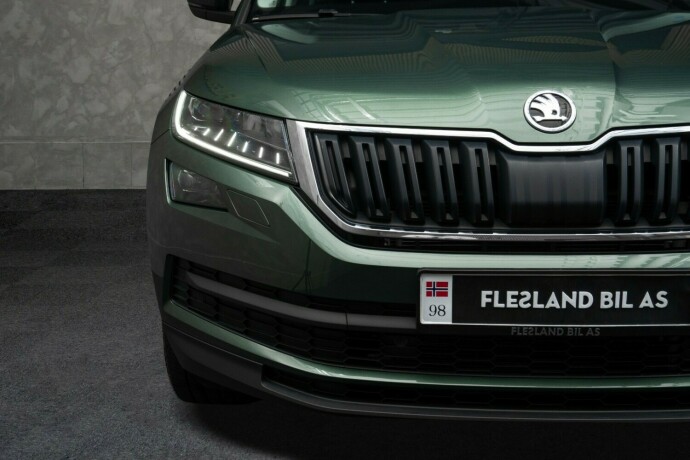 skoda-kodiaq-diesel-2019-big-5