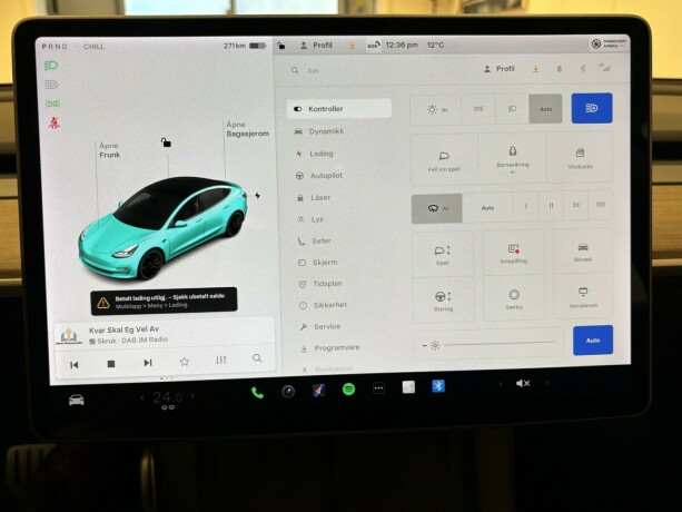 tesla-model-3-elektrisitet-2021-big-13