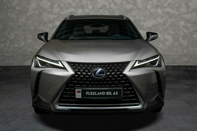 lexus-ux-elektrisitet-2021-big-6