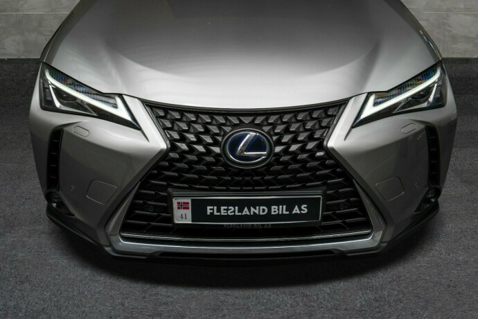 lexus-ux-elektrisitet-2021-big-4