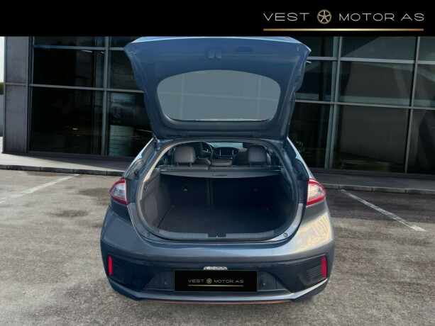 hyundai-ioniq-elektrisitet-2019-big-13