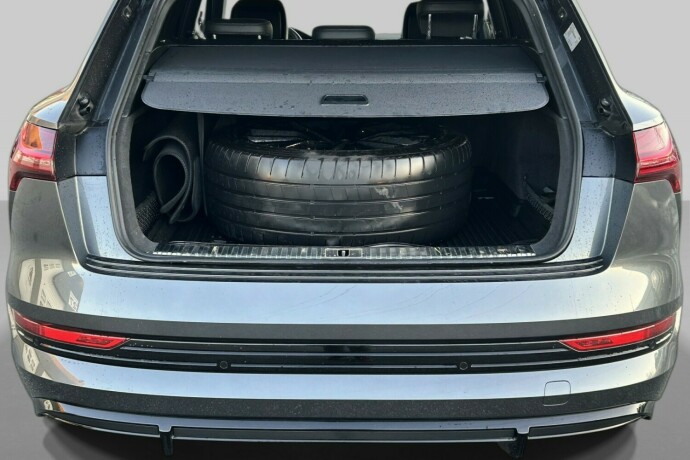 audi-e-tron-elektrisitet-2022-big-20