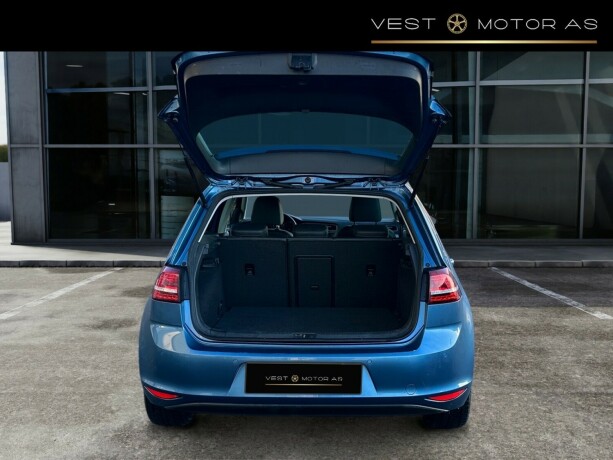 volkswagen-golf-elektrisitet-2017-big-6