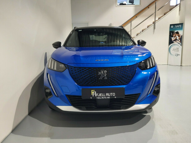 peugeot-e-2008-elektrisitet-2021-big-3