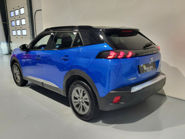 peugeot-e-2008-elektrisitet-2021-big-8