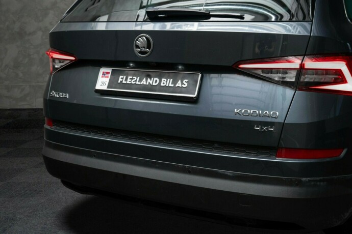 skoda-kodiaq-diesel-2019-big-7