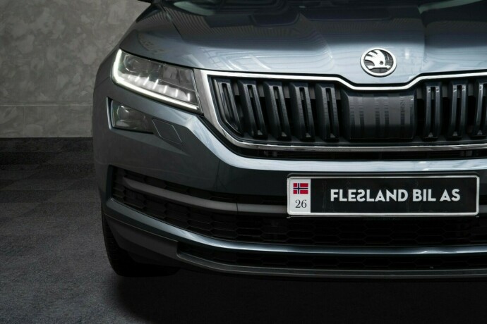 skoda-kodiaq-diesel-2019-big-5