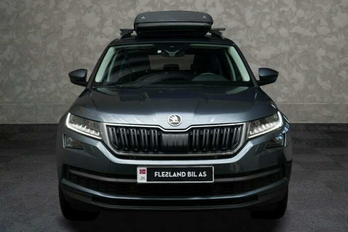 skoda-kodiaq-diesel-2019-big-6