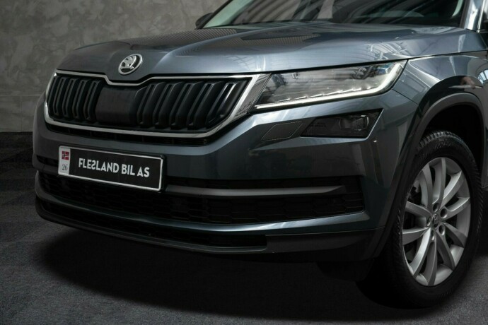 skoda-kodiaq-diesel-2019-big-2