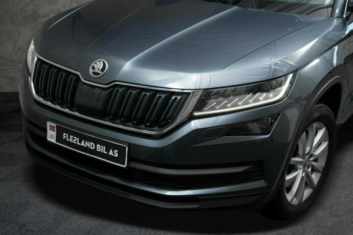 skoda-kodiaq-diesel-2019-big-3