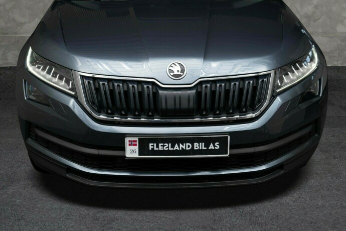 skoda-kodiaq-diesel-2019-big-4