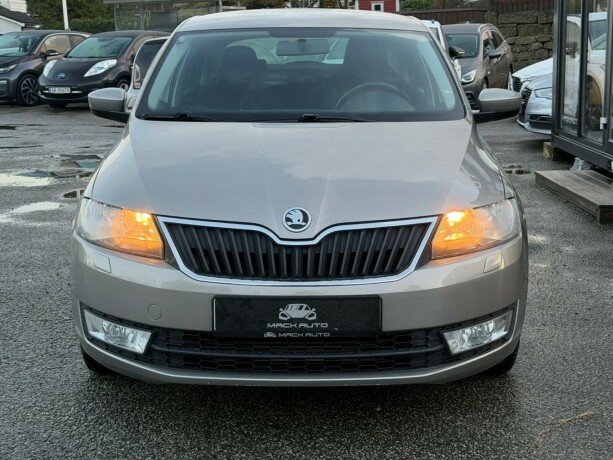 skoda-rapid-diesel-2013-big-1