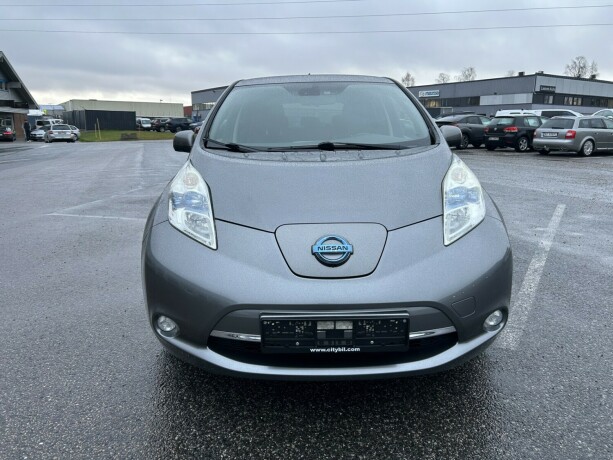 nissan-leaf-elektrisitet-2013-big-1